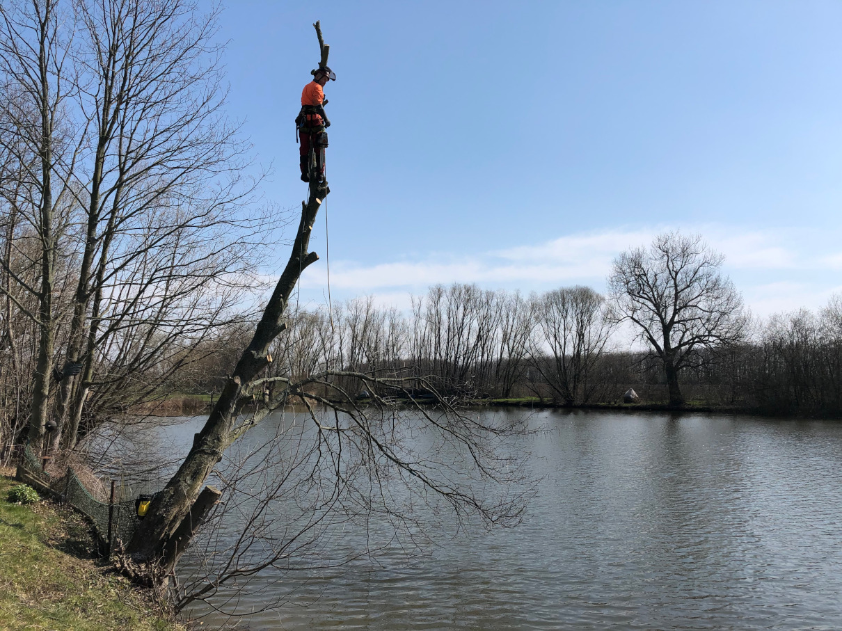 Gefahrenfällung in Leipziger/Güldengossa