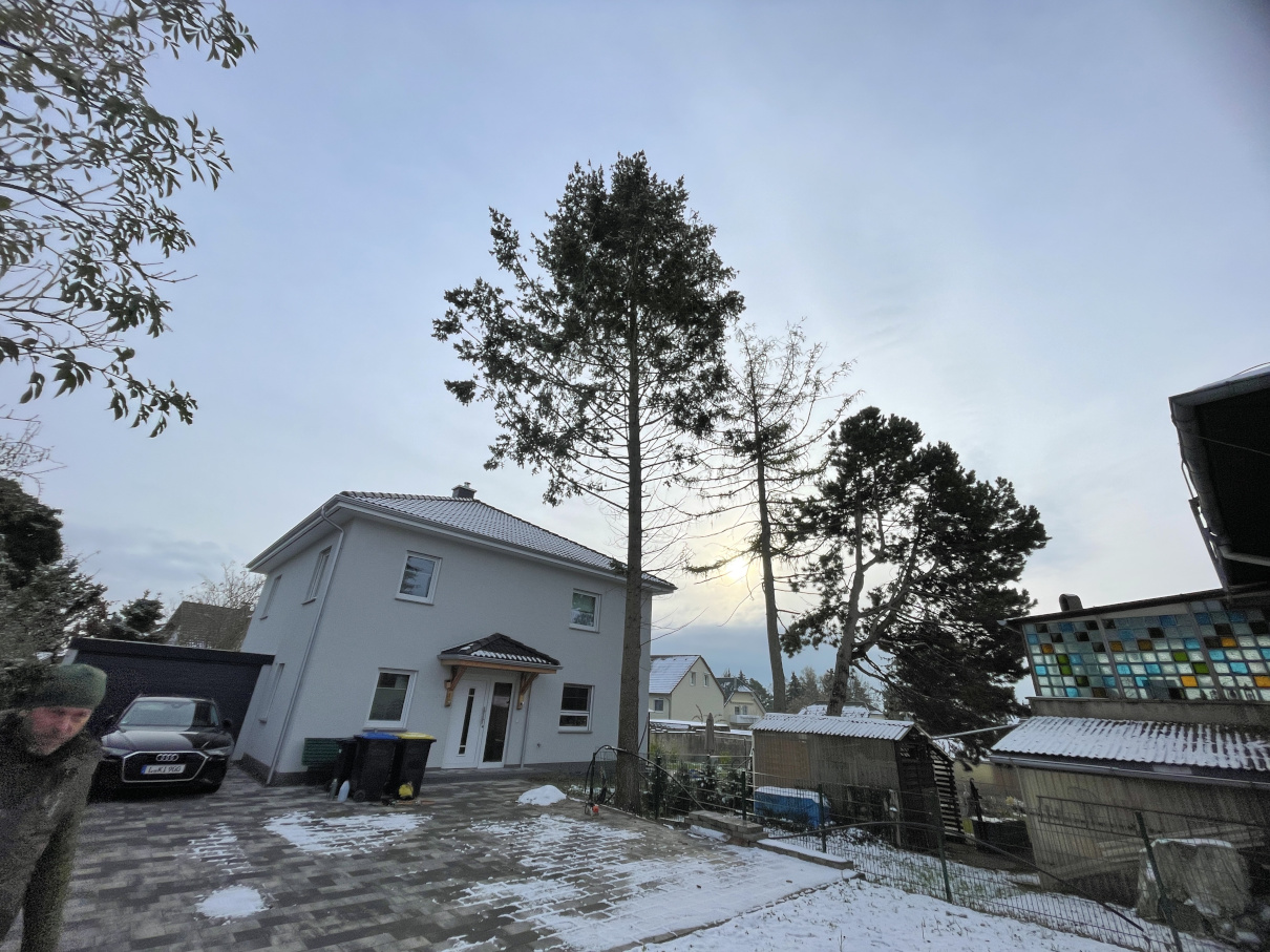 Baumfällung einer Douglasie in Leipzig