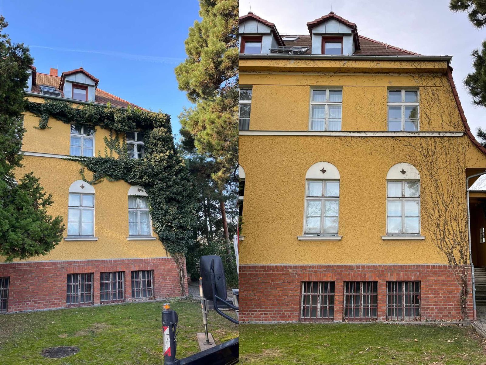 Efeuentnahme in Leipzig/Gundorf