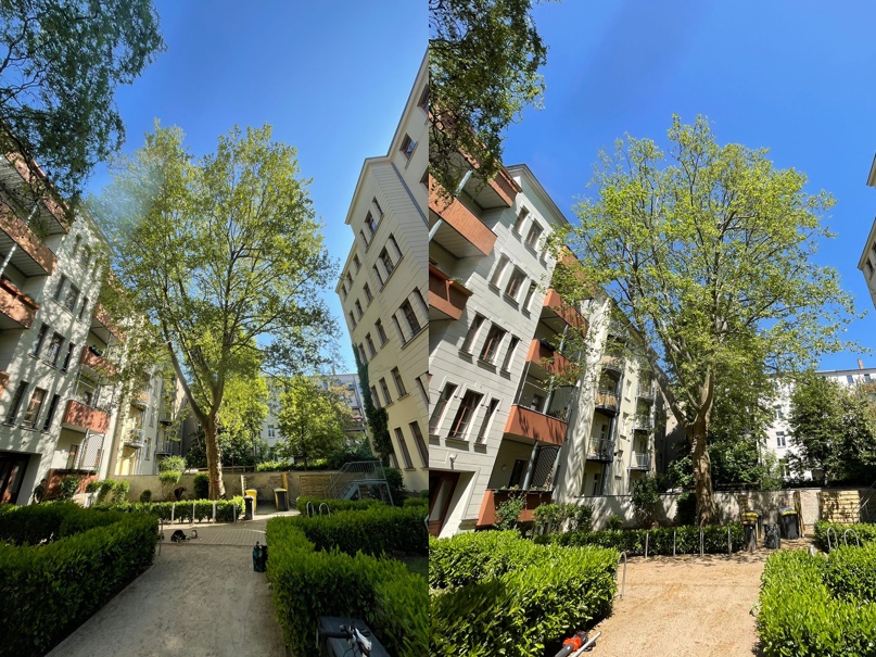 Baumpflege einer Platane im Leipziger Musikerviertel