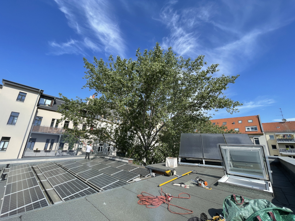 Kronenreduzierung einer Pappel Kronenreduzierung einer Pappel