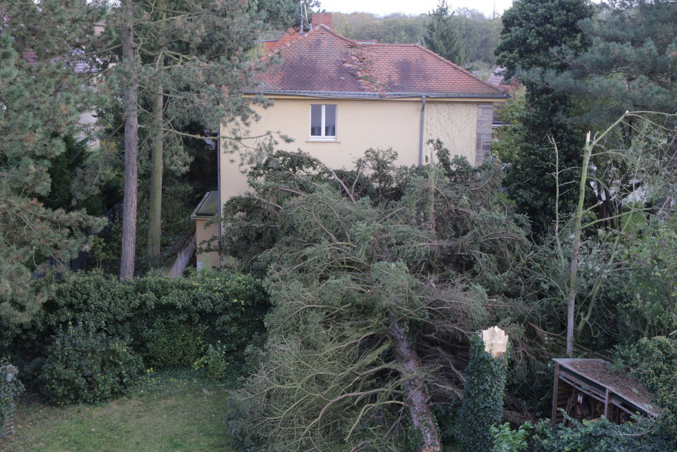 Sturmschaden in Leipzig/Schleusig